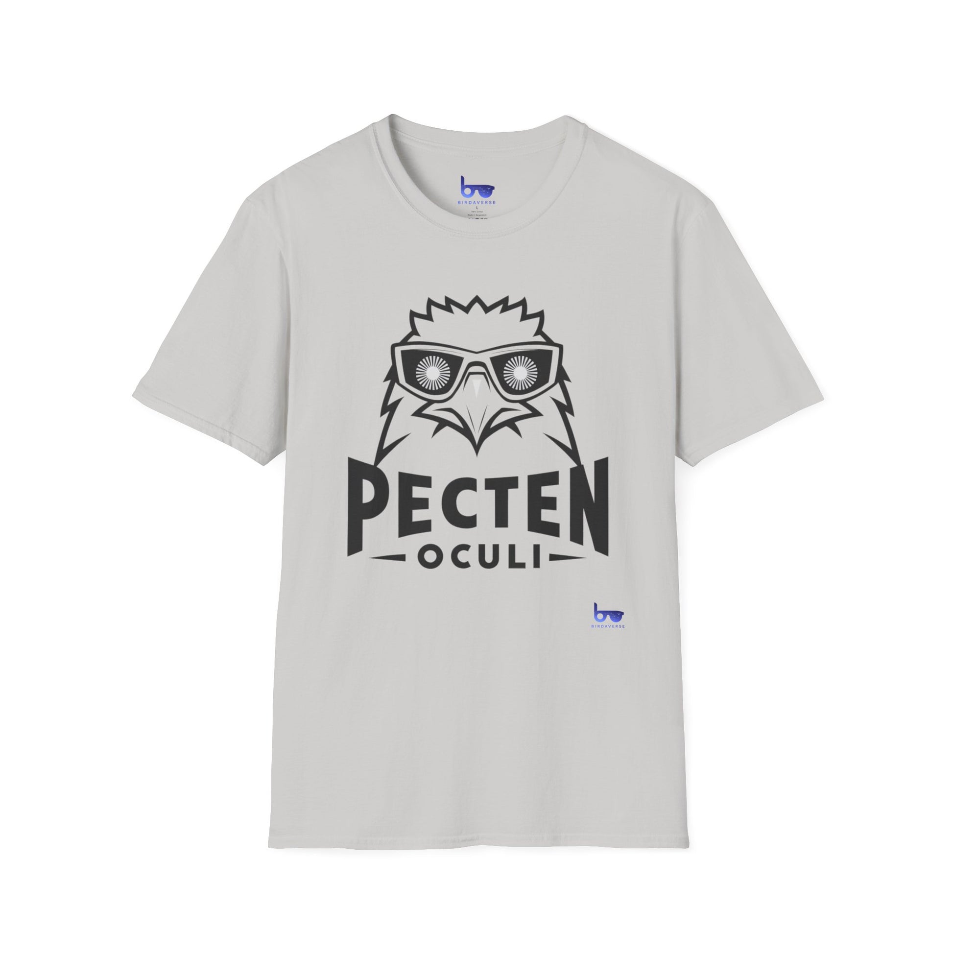 '' PECTEN OCULI ''
