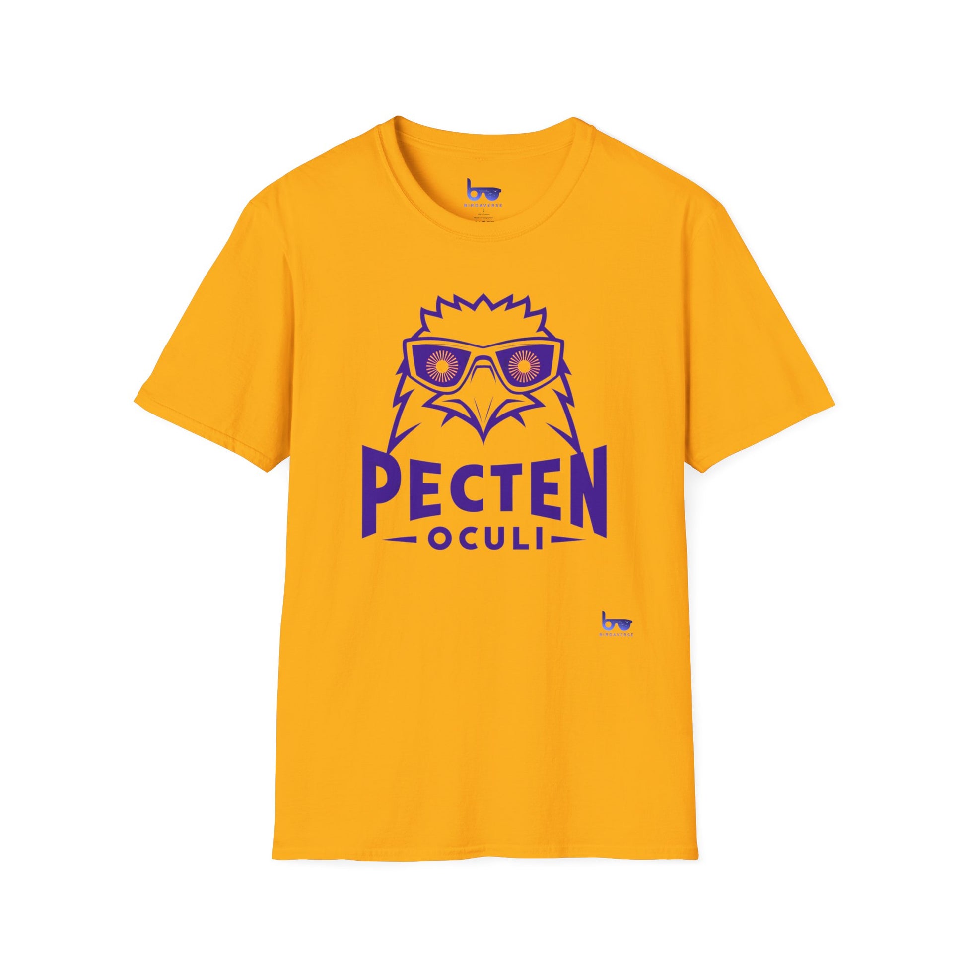 '' PECTEN OCULI ''