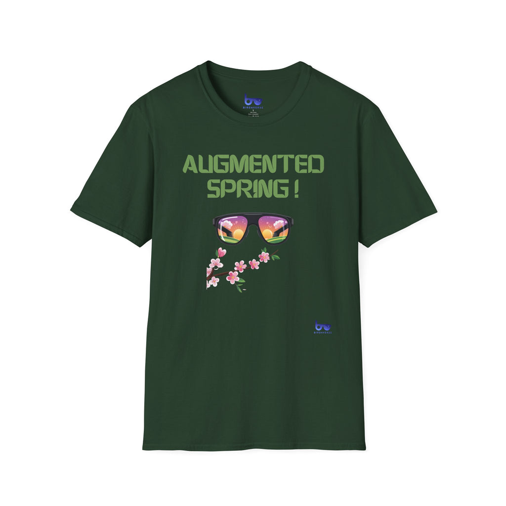 '' AUGMENTED SPRING ! ''