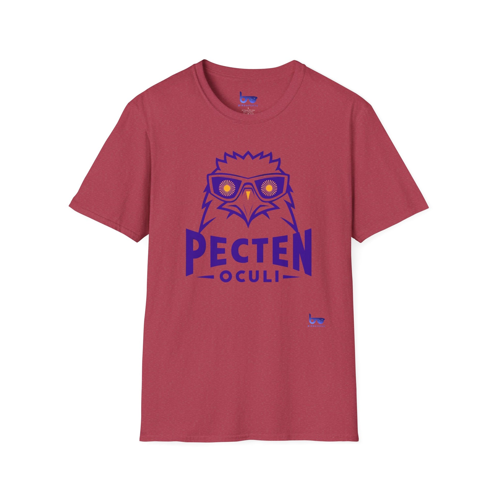 '' PECTEN OCULI ''