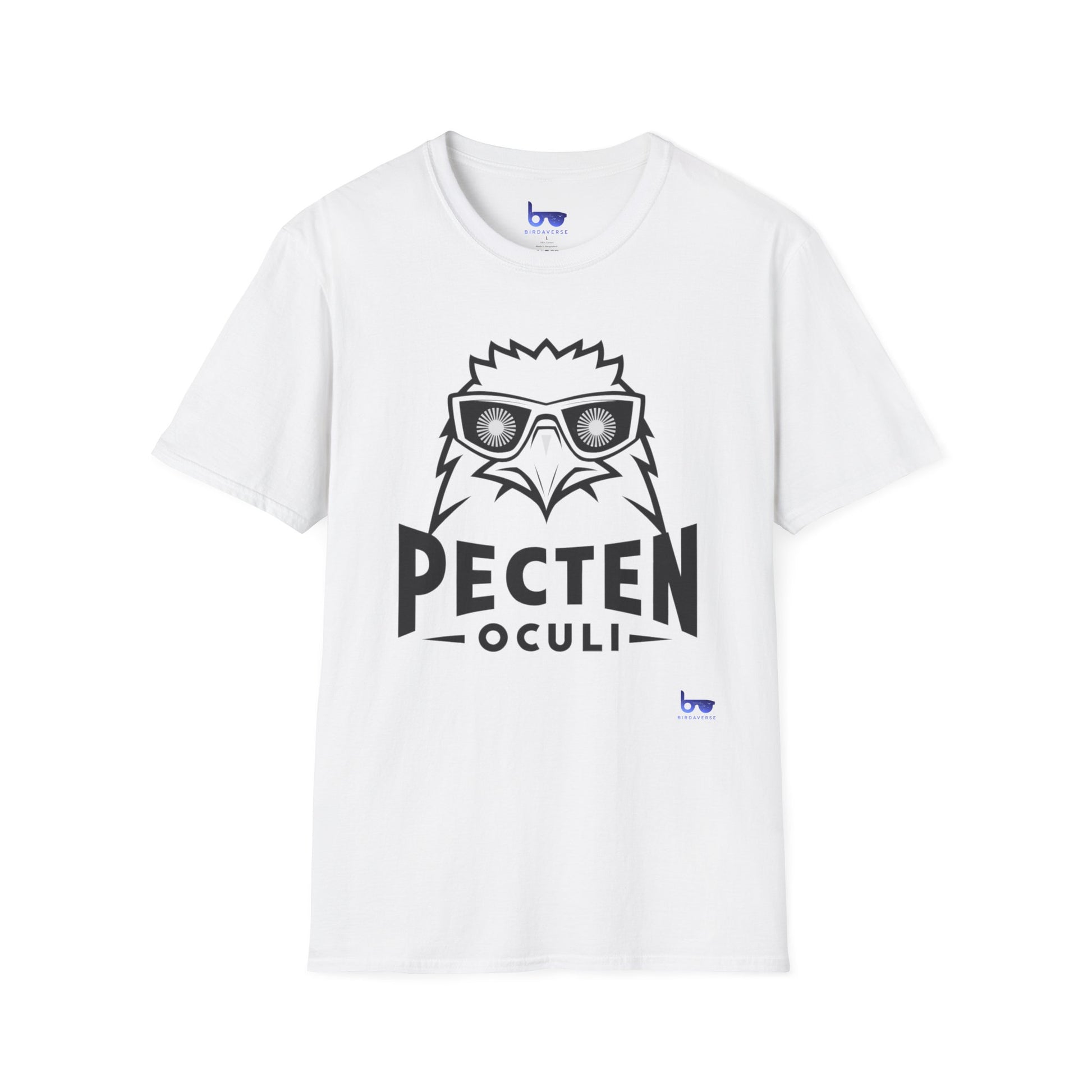 '' PECTEN OCULI ''