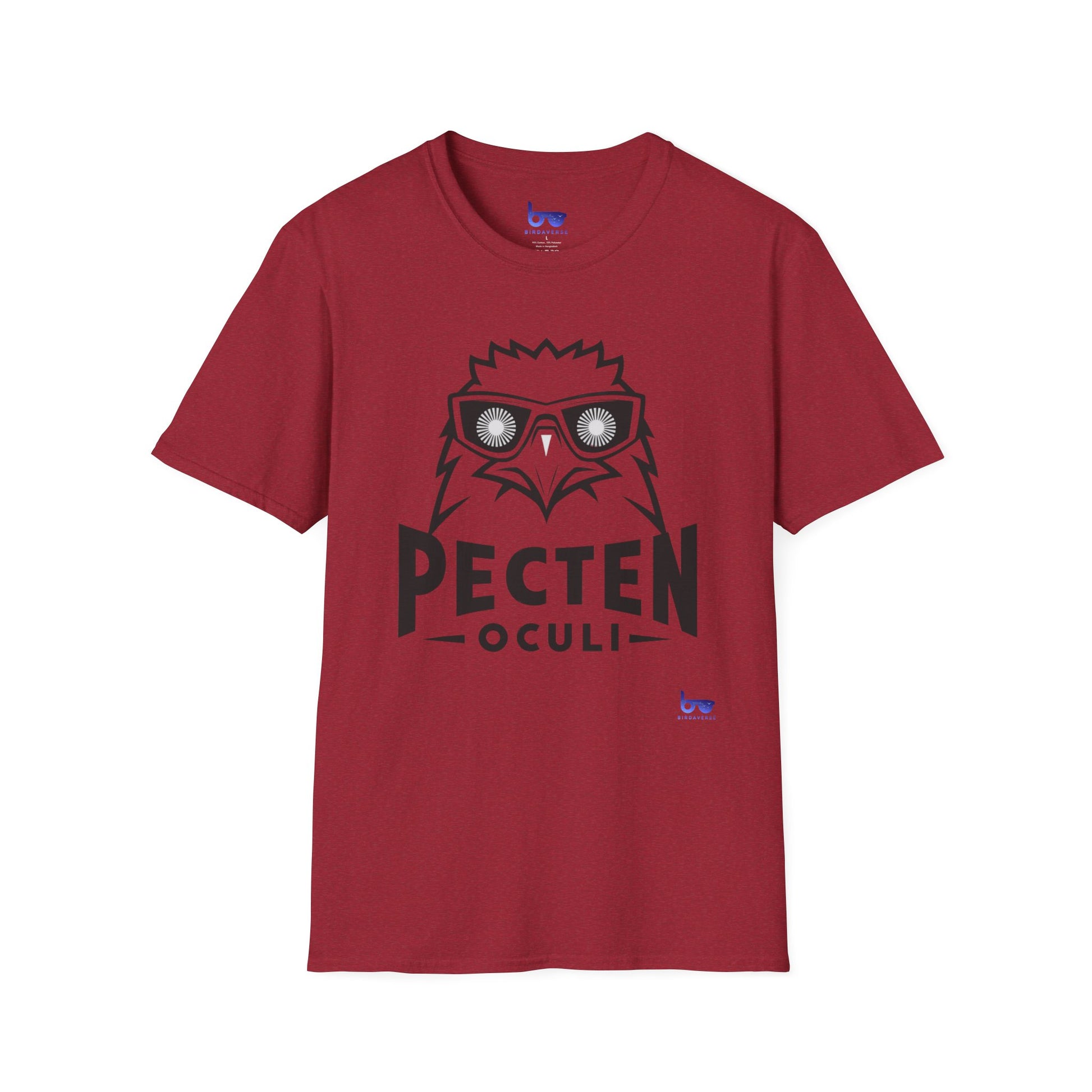 '' PECTEN OCULI ''