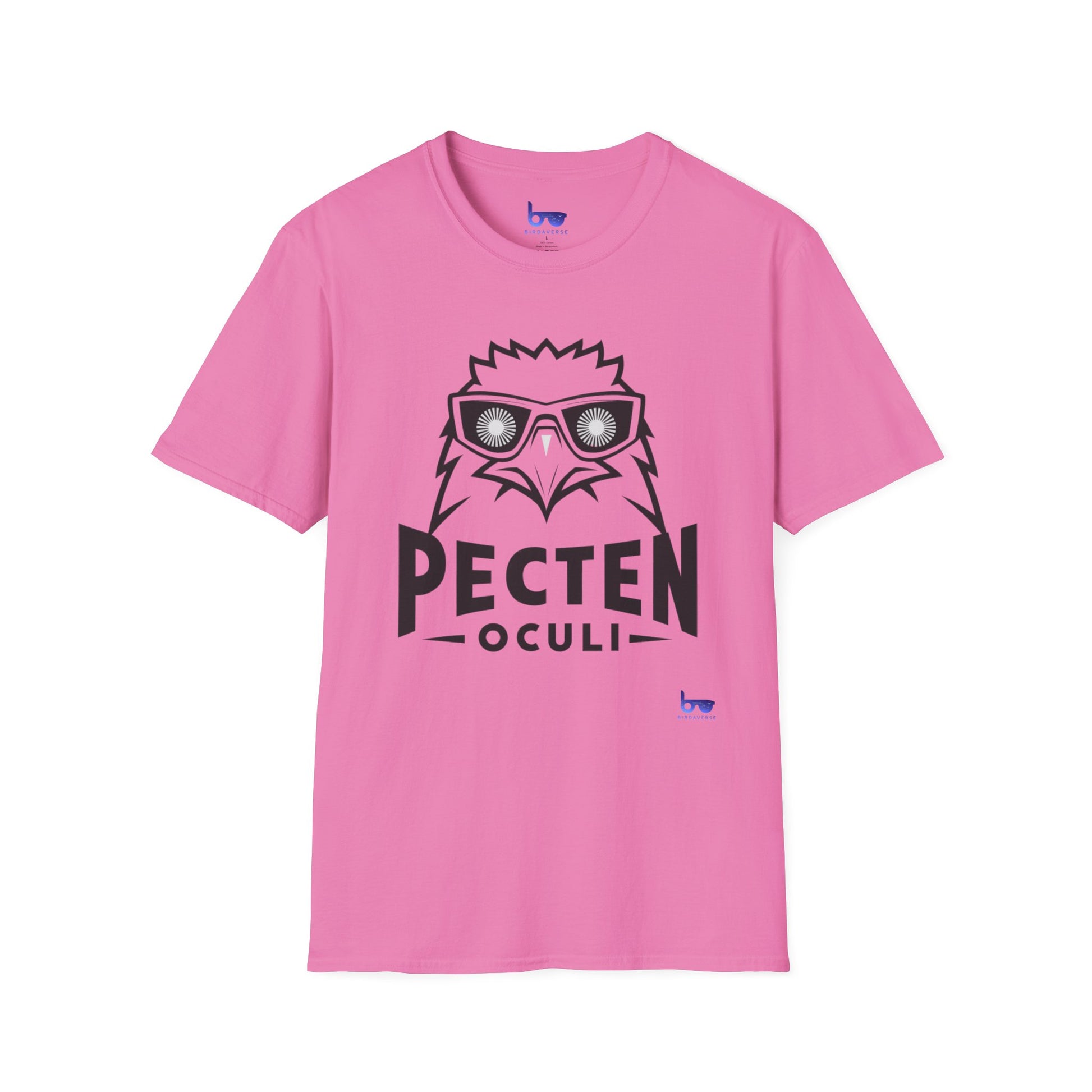 '' PECTEN OCULI ''