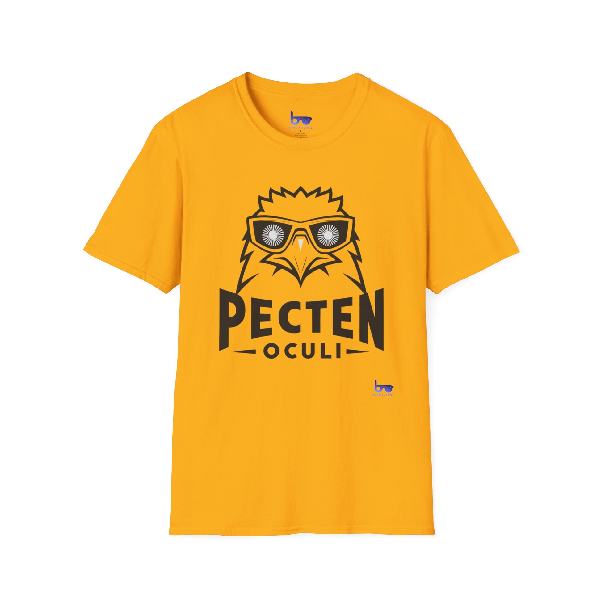 '' PECTEN OCULI ''