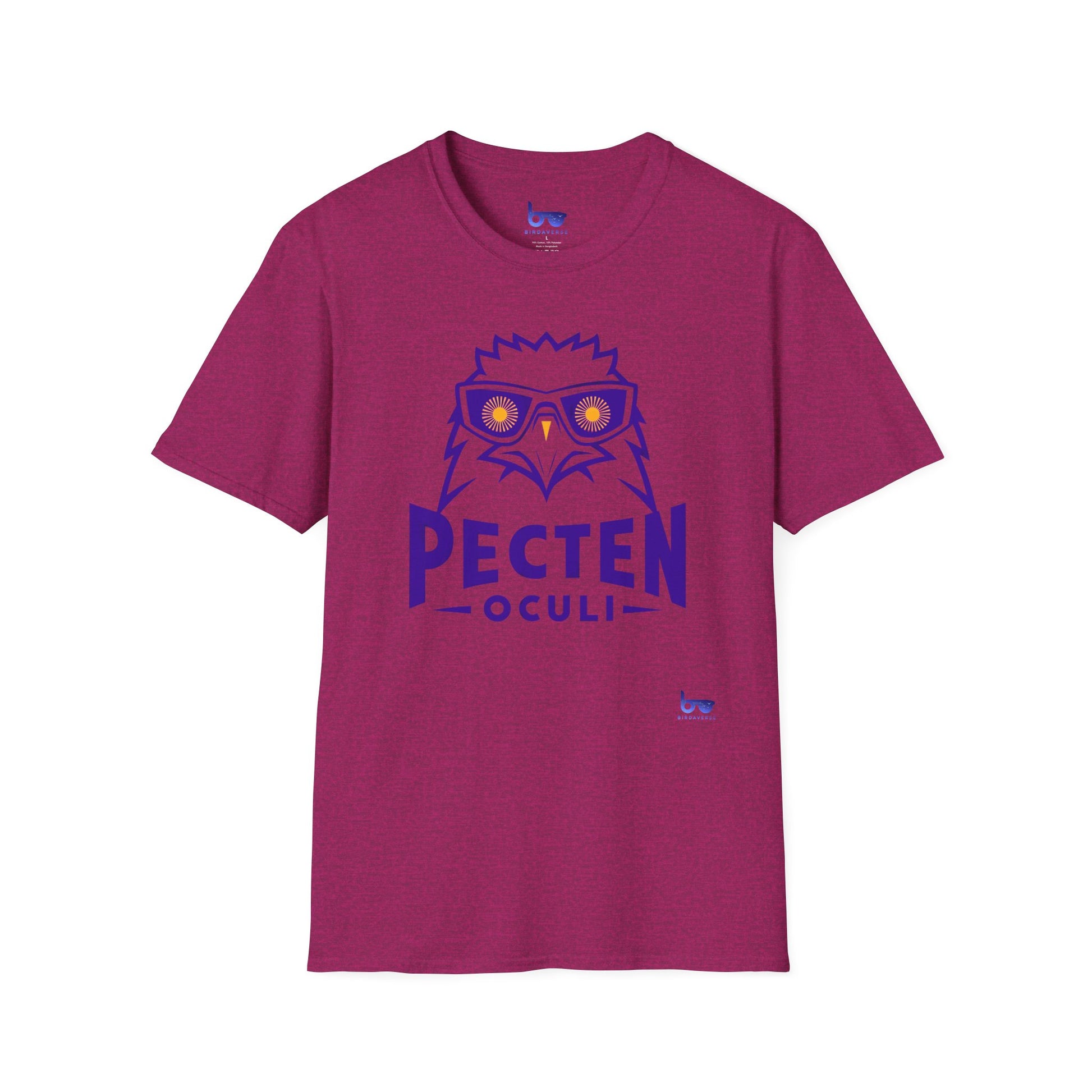 '' PECTEN OCULI ''