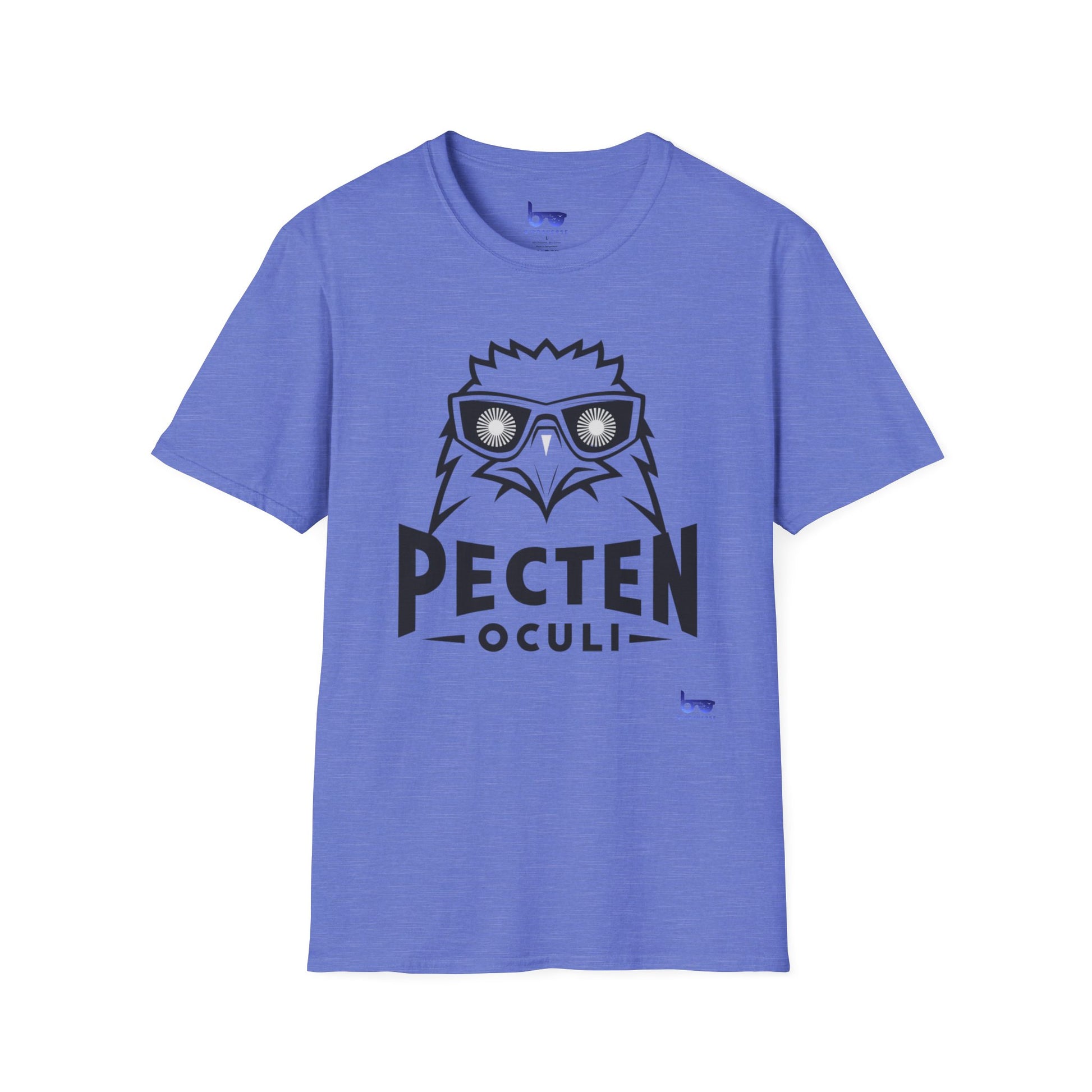 '' PECTEN OCULI ''